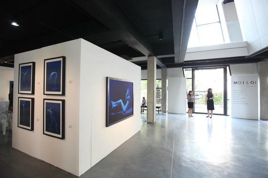 Adler Subhashok Gallery